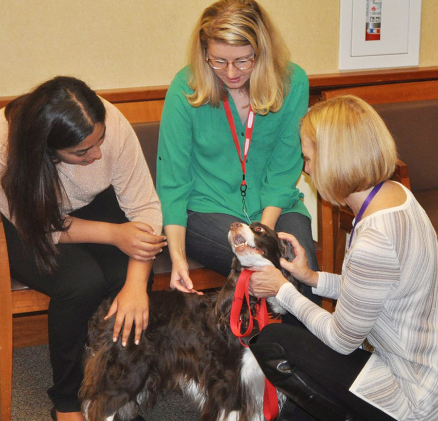 Foothill Therapy Dogs Volunteers