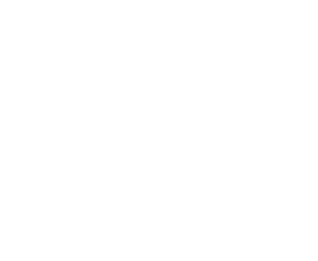 ZOOM Media Logo